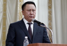 Зулушев Кыргызстандын Көк бөрү федерациясынын президенти кызматынан кетти