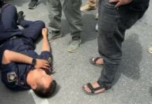 Самого известного патрульного страны сбил бусик на Иссык-Куле