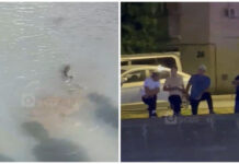 Мэрия Бишкека в пилотном режиме запустила рыбу в реку. Уже вечером ее вылавливали горожане