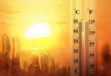 Ученые заявили, что из-за жары часть Африки и Азии станет непригодной для жизни