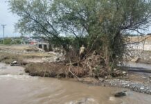 Тела еще двух девочек, унесенных селем в Оше, найдены в Андижане