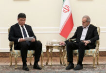 Бакыт Торобаев встретился с новым президентом Ирана Масудом Пезешкианом