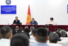 Акылбек Жапаров представил коллективу Минприроды нового и.о. министра