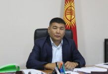 Нургазы Курманбеков Бишкек ЖЭБнин директору болду