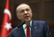 Эрдоган: Турция может «войти» в Израиль так же, как когда-то в Ливию и Нагорный Карабах