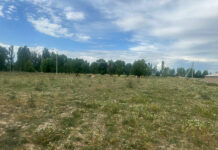 Государству возвращен участок земли на Иссык-Куле стоимостью почти 8 млн сомов