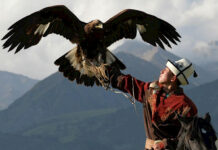 В Кыргызстане пройдет зрелищный фестиваль «Салбуурун»