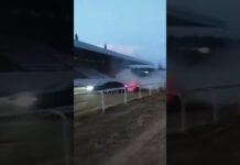 Дрифт на ипподроме в Чолпон-Ате. Водителя BMW оштрафовали на 15 тысяч сомов