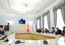 Акылбек Жапаров принял исполнительного директора проектного блока Евразийского фонда стабилизации и развития Андрея Широкова