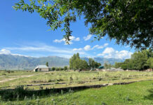 Ысык-Көлдө 1,63 гектар жер тилкеси мамлекетке кайтарылды