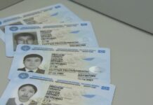 Кампания по обмену ID-карт. За июль Минцифры выдало почти 28 тыс. паспортов