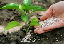 В Кыргызстане построят завод по производству карбамида и удобрений с участием китайской компании