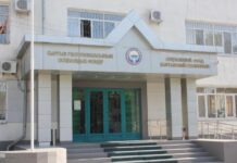 Досрочное использование пенсий – Соцфонд отчитался о выданных деньгах