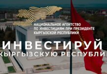 НАИ сопровождает 11 инвестиционных проектов на $1 млрд 539 млн