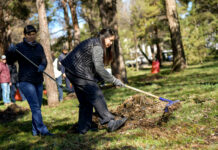 Бишкекчан приглашают на общегородской субботник