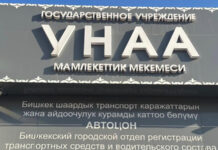 Задержаны директор и пять сотрудников ГУ «Унаа»