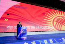 На кыргызско-китайском бизнес-форуме в Сиане подписаны соглашения на $50 млн