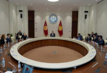 Садыр Жапаров япон ишкерлери менен жолугушту