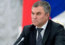 Госдума поддержит запрет мигрантам привозить семьи в Россию — Вячеслав Володин