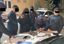 Ысык-Көлдө соттун төрагасы жана ортомчусу пара алып жатканда кармалды