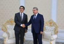 Эдиль Байсалов встретился с вице-премьер-министром Таджикистана