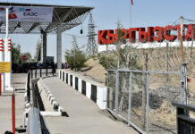 Кыргыз-кытай чек арасы убактылуу жабылат