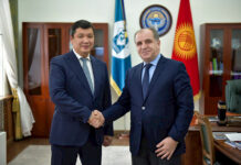 Айбек Джунушалиев встретился с послом Армении