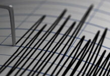 Кыргызстандын түштүгүндө эртең менен жер титирөө болду