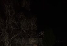 В Бишкеке ночью произошло ДТП со смертельным исходом