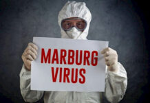 ВОЗ предупредила об угрозе глобальной эпидемии вируса Марбург