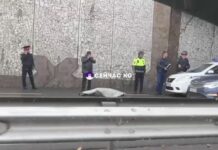 В Бишкеке под мостом на проспекте Манаса обнаружили труп