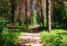 Государству возвращен незаконно приватизированный участок в «Карагачевой роще» площадью 1,2 га