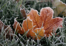 ӨКМ күтүлүп жаткан суук аба ырайына байланыштуу чукул билдирүү таратты