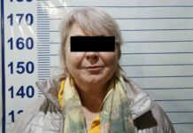 Члена партии «Социал-демократы» Ирину Карамушкину водворили в ИВС