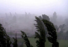 Сак болуңуз! Бишкек жана Чүйдө катуу шамал болушу күтүлөт