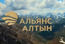 «Альянс Алтын» ЖЧКсы Кыргызстандагы алтындын запасы боюнча экинчи орунда турган Жерүй кенин иштетүүдө, анын баланстык кору 88,2 тоннаны түзөт