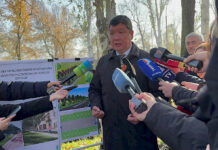 Бишкекте кооптуу болгон 1400 терек кыйылат – Айбек Жунушалиев