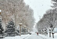 Ночью до –12 градусов — погода в Бишкеке с 5 по 11 декабря