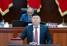 БШК депутат Чынберди Төлөновду депутаттык мандатынан ажыратты