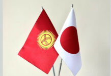 Кыргызстан получит 870 млн сомов от Японии на медицину