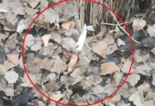 Парень проиграл в казино 287 тыс. сомов и, испугавшись отца, придумал преступление