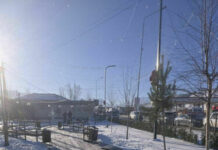 Бишкекте дагы бир жаңы гүл бакча пайда болду