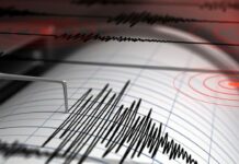 Ош жана Баткен облустарында жер титирөө катталды