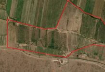 Манас районунда 59 гектар алма бак мамлекетке кайтарылды