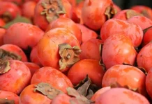 В Красноярске уничтожили 18 тонн хурмы из Кыргызстана