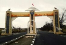 Кара-Кулжада 25 млн сомдук 50 га жер тилкеси мамлекетке кайтарылды