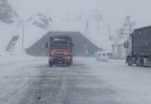 «Сосновка» жана «Арал» постторунда оор жүк ташуучу унааларга чектөө киргизилди