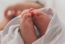 Бишкекте мектеп окуучулары таштанды таштанды челектен ымыркайды табышты