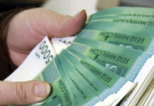 Салык кызматы 2024-жылы 228,2 млрд сом салык жана төлөмдөрдү чогултту