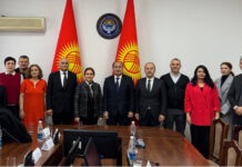 Врачи из Турции проведут две операции по пересадке почки в Бишкеке